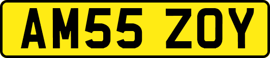 AM55ZOY