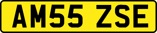 AM55ZSE