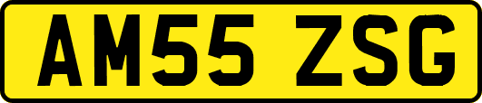 AM55ZSG