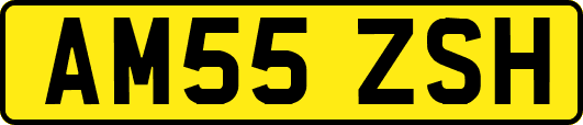 AM55ZSH