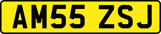 AM55ZSJ