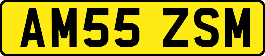 AM55ZSM