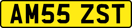 AM55ZST