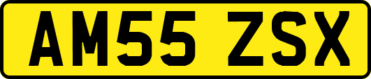 AM55ZSX