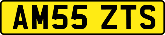 AM55ZTS