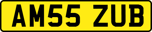 AM55ZUB