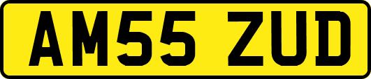 AM55ZUD