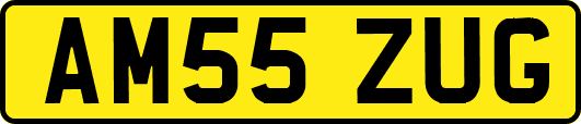 AM55ZUG