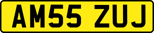 AM55ZUJ