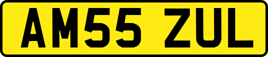 AM55ZUL