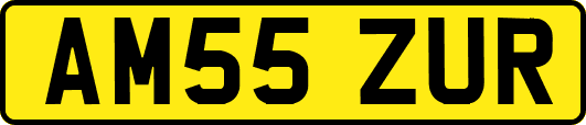 AM55ZUR