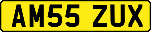 AM55ZUX