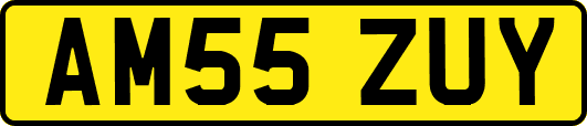 AM55ZUY