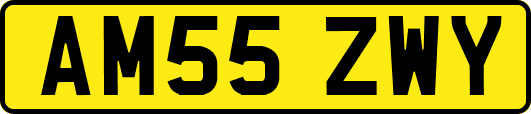 AM55ZWY