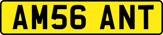AM56ANT