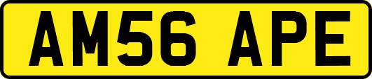 AM56APE