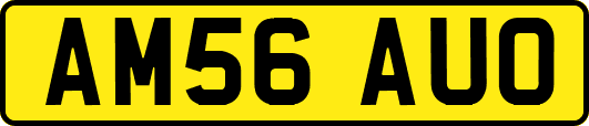 AM56AUO