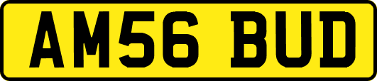 AM56BUD