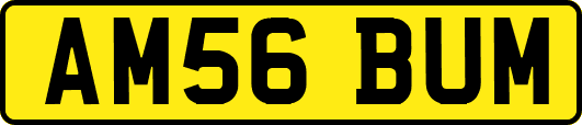 AM56BUM