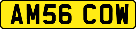 AM56COW