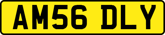 AM56DLY