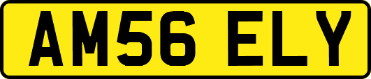 AM56ELY