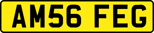 AM56FEG