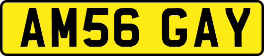 AM56GAY