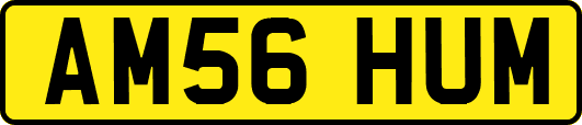 AM56HUM