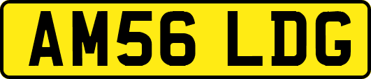 AM56LDG