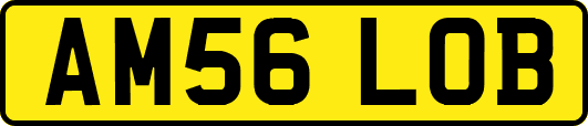 AM56LOB