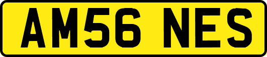 AM56NES