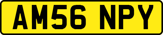 AM56NPY