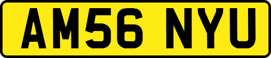 AM56NYU
