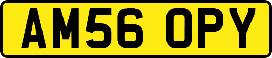 AM56OPY