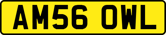 AM56OWL