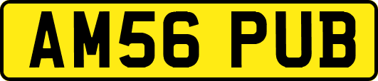 AM56PUB