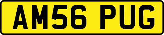 AM56PUG