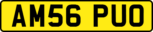 AM56PUO