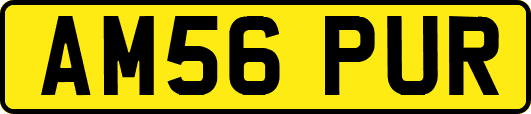 AM56PUR