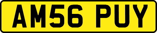 AM56PUY