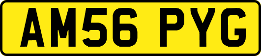AM56PYG