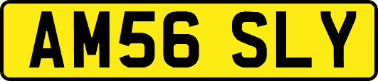 AM56SLY
