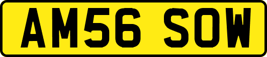 AM56SOW