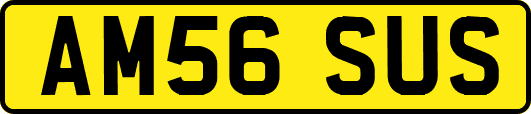 AM56SUS