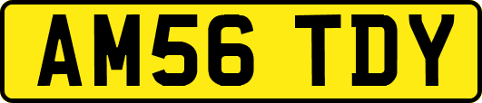 AM56TDY