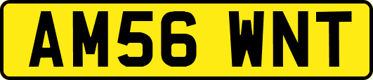 AM56WNT