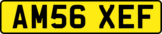 AM56XEF