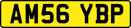 AM56YBP