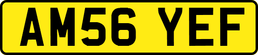 AM56YEF